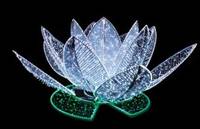 5' x 3' LED 3D Lotus Flower