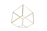 Geometric Glass Terrarium, Heptahedron, Tilted Square, Gold Frame - Width: 11.5", Height: 12" (8" Square Cube Tilted)