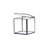Geometric Glass Terrarium, Hexahedron, Cube Shape, Black Frame - Width: 5", Height: 5"