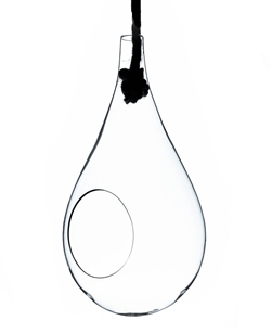 Small Clear Rope Hanging Terrarium/Vase; Width: 5". Height: 9.5"