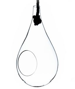 Medium Clear Rope Hanging Terrarium/Vase; Width: 6". Height: 11". Rope: 21"