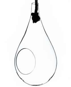 Large Clear Rope Hanging Terrarium/Vase; Width: 7.5". Height: 15". Rope: 28"