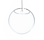 Clear Half-Round Wall Hanging Terrarium. Diameter: 5". Thickness: 3.3"