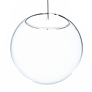 Clear Half-Round Wall Hanging Terrarium. Diameter: 7". Thickness: 5"