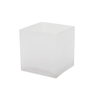 Frosted Cube Vase. Open: 5"x5". Height: 5".