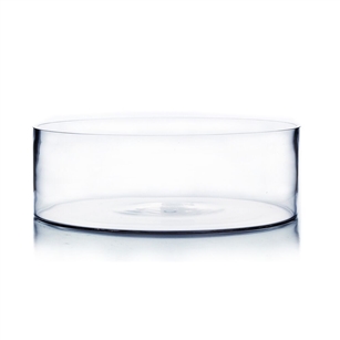 Clear Cylinder Vase. WidthxLength: 12". Height: 4"