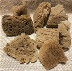 Sea Sponge Chunk Medium 3 Pack