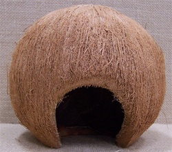 Round Hair Hut