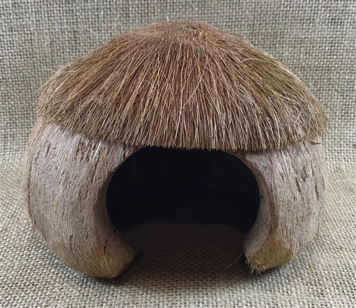 Hermit Crab Coconut Hair Hut