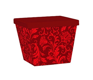 Ruby Red Damask Box of 12