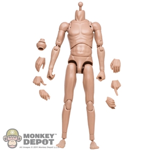 Boxed Figure: ACI Medium Build - Edward (ACI-B5)