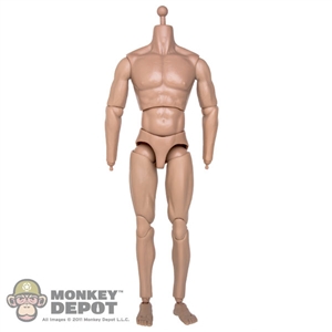Figure: ACI Medium Built Body-Christian - New Improved Version