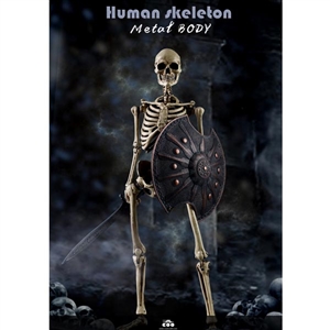 COO Models The Human Skeleton (Diecast Alloy) (CM-BS011)