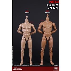 COO Model New Type Muscled Male Body (CM-MB003)