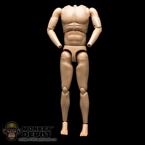 Figure: DiD Body ( No Head, No Hands)