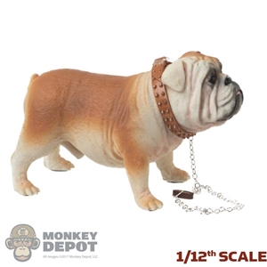 Dog: DiD 1/12th British Bulldog w/Collar + Leash