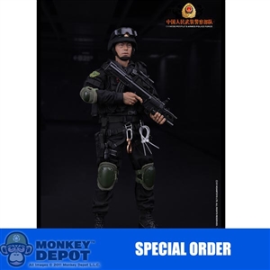 DamToys Chinese People's Armed Police Force - Anti-Terrorism Force (78017)