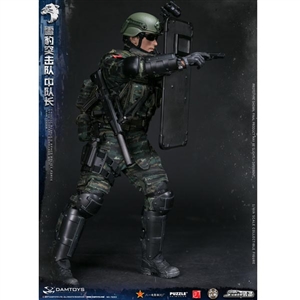 Boxed Figure: DamToys Chinese People's Armed Police Force Snow Leopard Commando Unit Team Leader (78053)