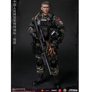 Boxed Figure: DamToys Chinese People's Liberation Army Special Forces - Xiangjian (78048)