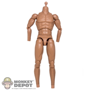 Figure: DamToys Muscle Body w/Neck Post