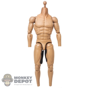 Figure: DamToys Muscle Body w/Neck Post (Lighter Tone)