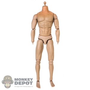 Figure: Flagset 5.0 Muscle Body