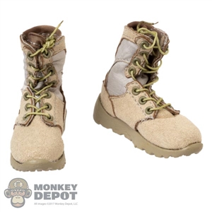 Boots: Flagset Desert Combat Boots