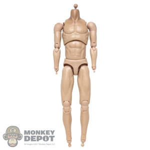 Figure: Flagset Muscle Body