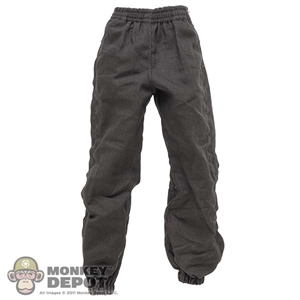 Bottoms: Flagset Mens Dark Gray Pants