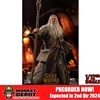 Hell Cat 1/12th Grey Wizard Deluxe Version (DYM-202401B)