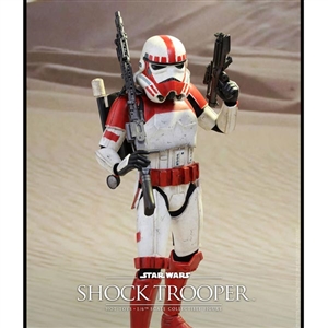 Boxed Figure: Hot Toys Star Wars Shock Trooper (902649)