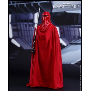 Boxed Figure: Hot Toys Star Wars Return of The Jedi Royal Guard (902996)