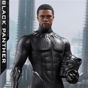 Boxed Figure: Hot Toys Black Panther (903380)