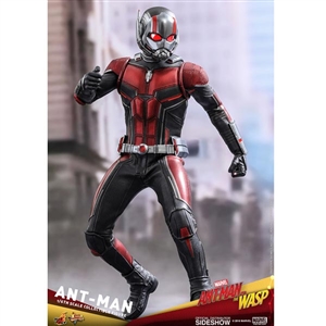 Boxed Figure: Hot Toys Ant-Man & The Wasp - Ant-Man (903697)