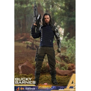 Boxed Figure: Hot Toys Avengers: Infinity War - Bucky Barnes (903795)