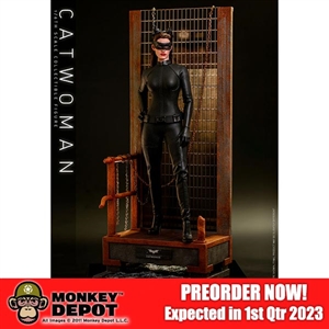 Hot Toys Catwoman (909931)