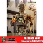 Hot Toys IG-12 w/Accessories (9124642)