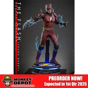 Hot Toys The Flash (Young Barry) (Deluxe Edition) (9127982)