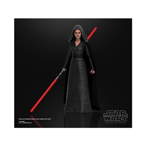 Action Figure: Hasbro 6 inch Star Wars Black Series Rey (Dark Side Vision)