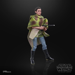 Action Figure: Hasbro 6 inch Star Wars Black Series Princess Leia Organa (Endor Battle Poncho)