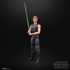 Action Figure: Hasbro 6 inch Star Wars Black Series Luke Skywalker + Ysalamiri
