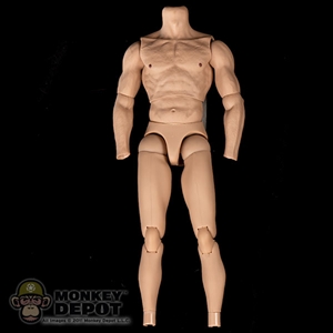 FIgure: Hot Toys True Type Caucasian Muscle Body