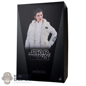 Display Box: Hot Toys Star Wars Episode 5 - Princess Leia