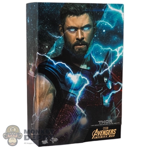 Display Box: Hot Toys Infinity War Thor