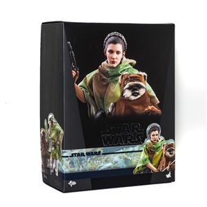 Hot Toys Star Wars Princess Leia + Wicket (Empty Box)