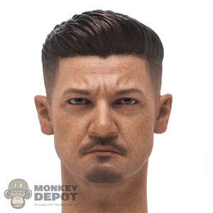 Head: Hot Toys Jeremy Renner