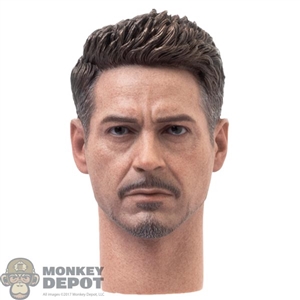 Head: Hot Toys Avengers: Endgame Tony Stark (Team Suit)