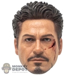 Head: Hot Toys Tony Stark (Iron Man 2)