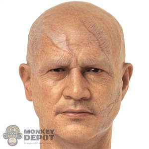 Head: Hot Toys Temuera Morrison w/Damaged Skin