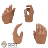 Hands: Hot Toys Hand Set